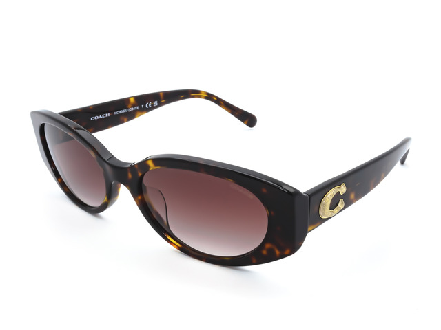 Сонцезахисні окуляри COACH HC 8353U 512013 54мм. GRADIENT BROWN