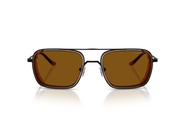 Сонцезахисні окуляри EMPORIO ARMANI EA 2162 3001/63 54 мм TINTED BROWN